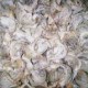 Harapan Petani Sarang Burung Walet Ekspor ke Luar Negeri