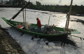 Beberapa Hari Terakhir Sungai Tambak Wedi di Surabaya Berbusa, Ada Apa?