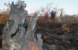 Sumsel Fokus Pencegahan Karhutla di 6 Daerah