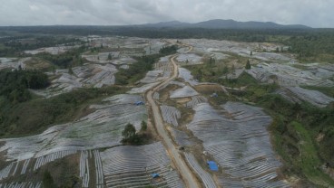 Food Estate di Humbang Hasundutan Mulai Menghasilkan 