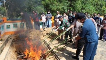 Praktik Pengeboman Ikan Marak di Morowali, KKP Lakukan Ini