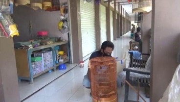 Geliat Pasar Burung Caruban Merosot