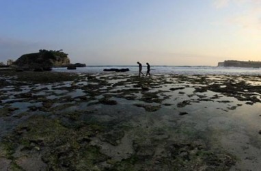 Berwisata ke Pantai Klayar kini Bisa Dilayani Damri