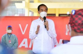 Hari Ini, Jokowi Tinjau Vaksinasi & Pelabuhan Yos Sudarso di Ambon
