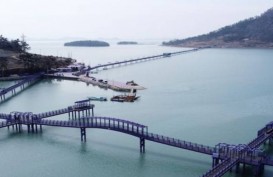 Unik, Pulau di Korea Selatan Ini Serba Berwarna Ungu