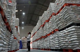 5.000 Ton Beras Impor di Gudang Bulog Cirebon dan Indramayu Turun Mutu