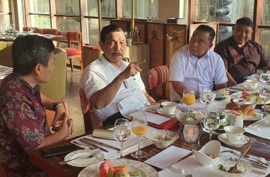 Food Estate, Luhut Lirik Peluang Pengembangan Pertanian di Jembrana