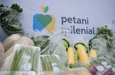 Rektor IPB Nilai Program Petani Milenial Bisa Jadi Solusi Regenerasi