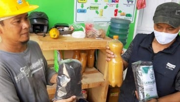 Warga Purwakarta Budi Daya Maggot untuk Mengurai Sampah