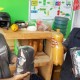 Warga Purwakarta Budi Daya Maggot untuk Mengurai Sampah