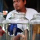 Aksi Sosial Lewat Lelang Ikan Cupang di Bali