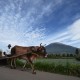 Pemerataan Pembangunan Pariwisata Disoal, BPIW: Masalah Timming