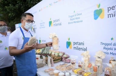 Komisi IV DPR RI Angkat Bicara Soal Petani Milenial