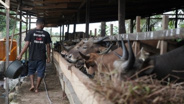 Pertamina dan Universitas Mulawarman Kembangkan Biogas di Desa Tani Bhakti