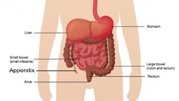 Ini Kemungkinan Pemicu Penyakit Crohn