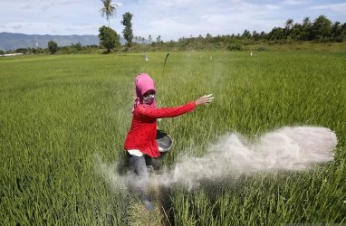 Mentan: Stok Pupuk Subsidi Aman, Harga Gabah di Atas HPP 