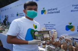 Kisah Sukses Petani Muda Sukabumi Kembangkan Burung Puyuh