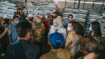 Harga Gabah di Karawang Anjlok, Ini Harapan Bupati Cellica