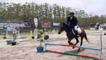 Pordasi Pekanbaru Gelar Show Jumping Persiapan Kapolda Cup