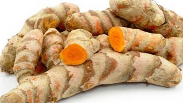 Mengenal Kandungan Glucodiab Drink, Minuman Anti Diabetes Buatan Peneliti IPB