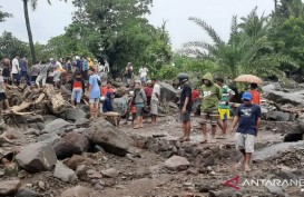 Dampak Banjir Sabu Raijua, Ratusan Hektare Sawah Terendam Air