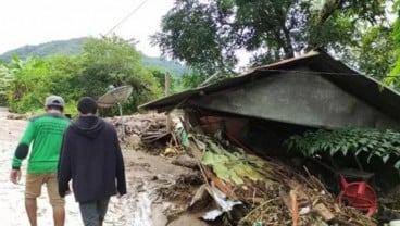 Bencana di NTT, Sejumlah Ruas di Kupang Masih Terhalang Pohon Tumbang