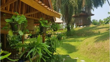 Kampung Agrinex, Destinasi Agrowisata Yang Dikunjungi Sandiaga