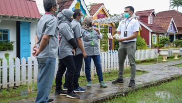 EWINDO Kembangkan Varietas Benih Sayur dan Buah Khusus Hidroponik