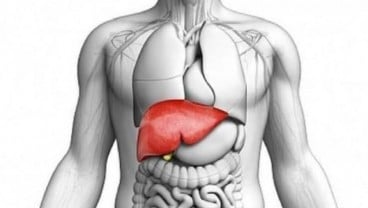 3 Gejala Perlemakan Hati yang Sering Diabaikan
