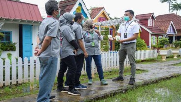 Ewindo Kembangkan Varietas Benih Sayuran Khusus Hidroponik