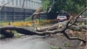 Fenomena Awan Cimulonimbus, Palembang Diterjang Angin Berkecepatan 93 Km/Jam