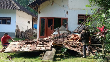 Update Gempa Malang: Lebih dari 300 Rumah Rusak di Jatim