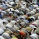 Tips Salat Tarawih di Masjid Selama Ramadan dari Dokter