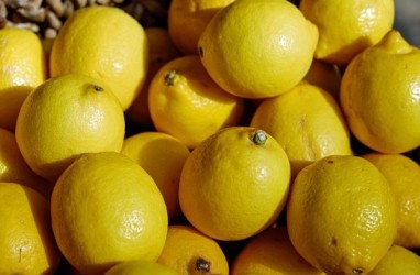 Manfaat Kesehatan Sari Lemon dan Tips Konsumsi Selama Puasa