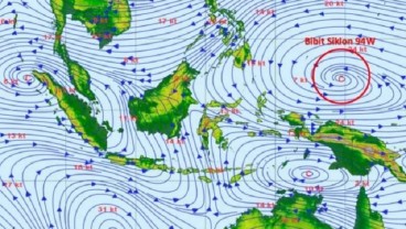 BMKG: Waspadai Gelombang Ekstrem 6 Meter di Utara Papua