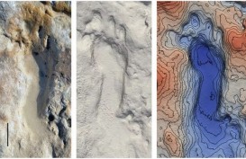 Ahli Temukan Fosil Jejak Kaki Anak-anak Purba di Pantai Spanyol
