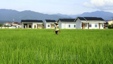 16 Persen Sawah di Padang Menghilang dalam 5 Tahun Terakhir 