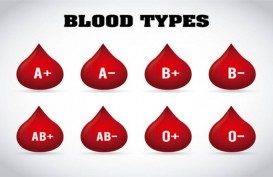  37,9 Juta Penduduk Lapor Golongan Darah, Jenis B- Paling Langka