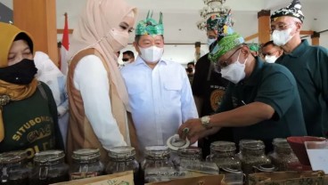 Kopi Kayumas, Komoditas Juara dari Situbondo