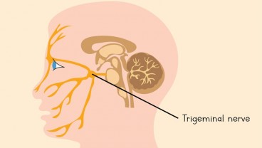 2 Tanda Utama Kekurangan Vitamin B12 yang Bisa Terlihat di Wajah Anda 