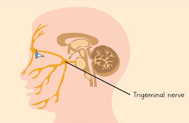 2 Tanda Utama Kekurangan Vitamin B12 yang Bisa Terlihat di Wajah Anda 