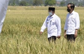 Jokowi Siap Penuhi Permintaan Petani Indramayu