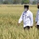 Jokowi Siap Penuhi Permintaan Petani Indramayu