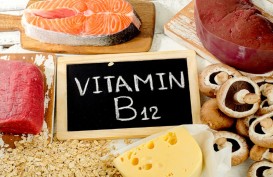 10 Gejala Lengkap Anda Kekurangan Vitamin B12 dan Cara Menanganinya
