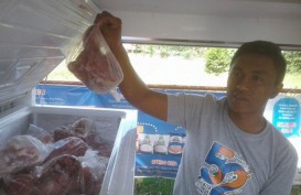Covid-19 di India Memburuk, Bulog Tunda Impor Daging Kerbau