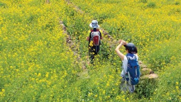 Jalur Jeju Olle, Rekomendasi Tempat Hiking Indah di Korea Selatan