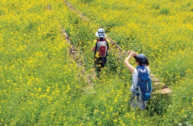 Jalur Jeju Olle, Rekomendasi Tempat Hiking Indah di Korea Selatan