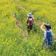 Jalur Jeju Olle, Rekomendasi Tempat Hiking Indah di Korea Selatan