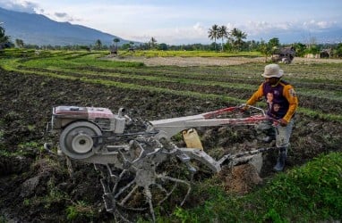 Babel dan Korsel Jajaki Kerja Sama Penghiliran Pertanian