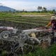 Babel dan Korsel Jajaki Kerja Sama Penghiliran Pertanian